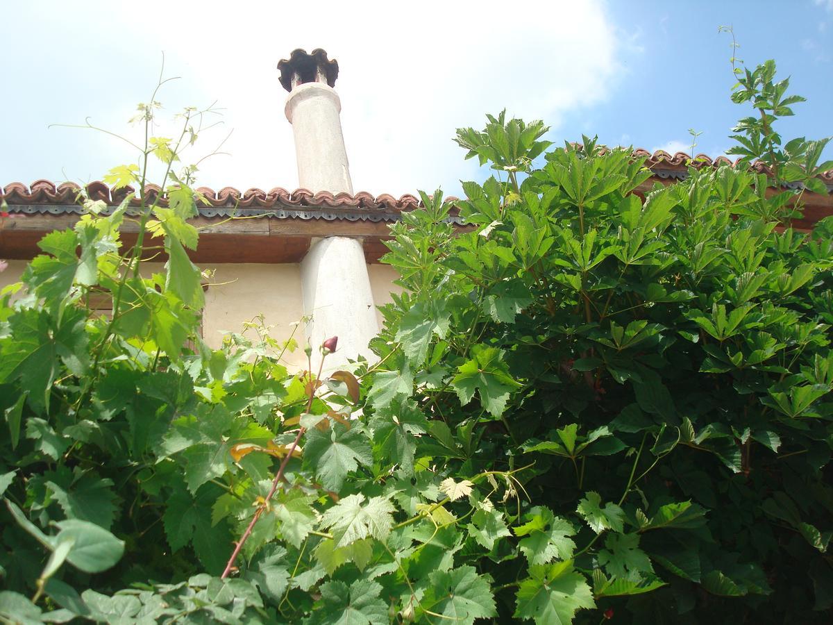 Oikia Alexandrou Traditional Inn Arnaía Exterior foto